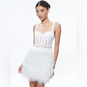 NWT Alice + Olivia Xia Sheer Bustier Embellished Ostrich Feathered Mini Dress 2